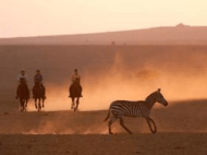 kenya-tanzania-safari-van-horse-riding-safaris