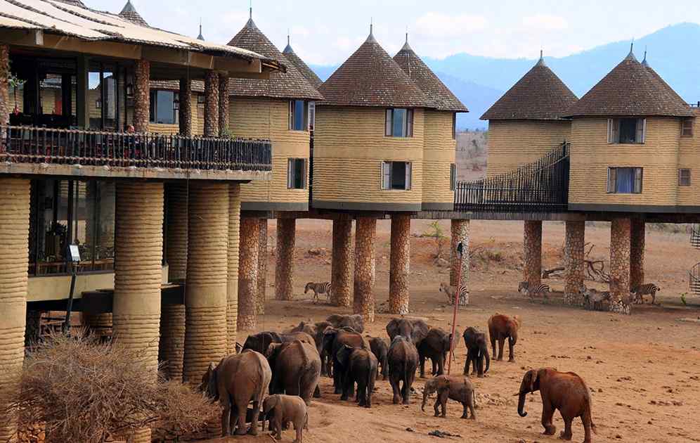 Taita Hills Sarova Salt Lick Game Lodge Kenya Safari Tours Blog