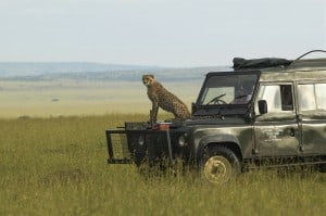 Going on safari holidays in Kenya