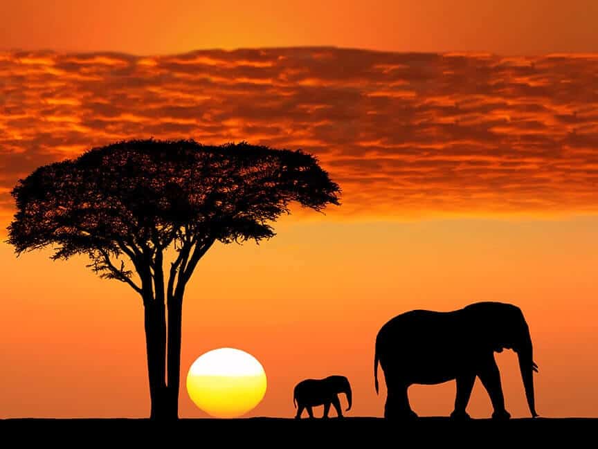 afrika safari sonnenuntergang