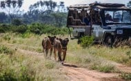 African safari tour in Kenya and Tanzania