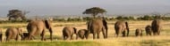 kenya destinations to visit elephants