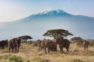 Climb Mount Kilimanjaro in Tanzania