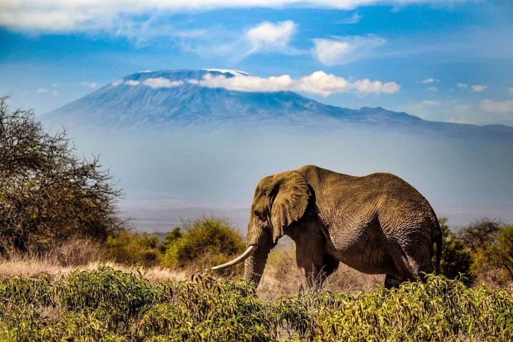 10 Mind-Blowing Kenya National Parks and Reserves You Can’t Afford to ...