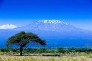 How to Climb Kilimanjaro