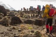 mount kilimanjaro climbing
