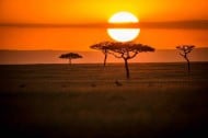 masai mara safari tour