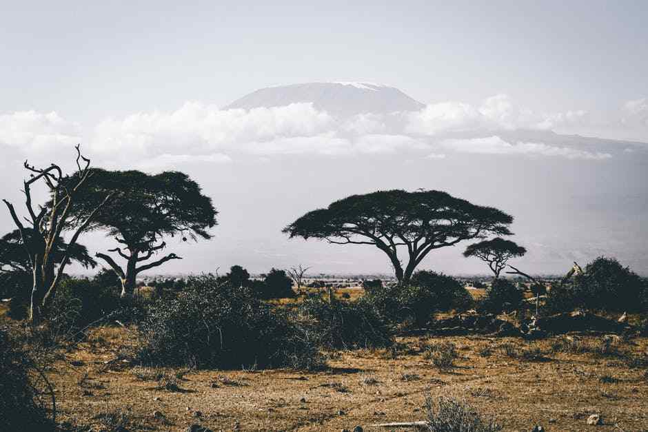 Masai Mara vs. Serengeti parks in Africa