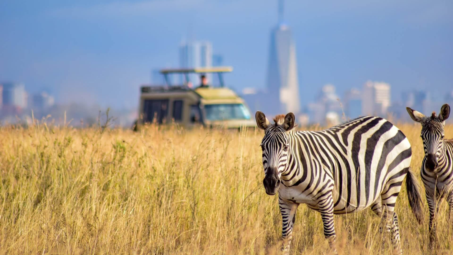 The Best Things to Do in Nairobi