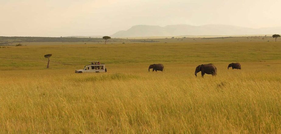 Masai Mara Safari vehicle and landscape game viewing Masai Mara Safari Game viewing vehicle - 4x4WD watching elephants