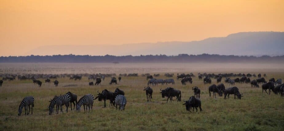 Unforgettable Amboseli Safari in Kenya Tours Africa Unforgettable Amboseli Safari in Kenya Tours Africa.