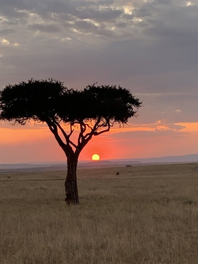Best Kenyan safari adventures and experiences Best Kenyan safari adventures and experiences