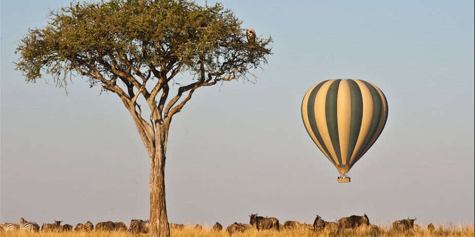 Kenyan Safari Tours in Masai Mara National Reserve