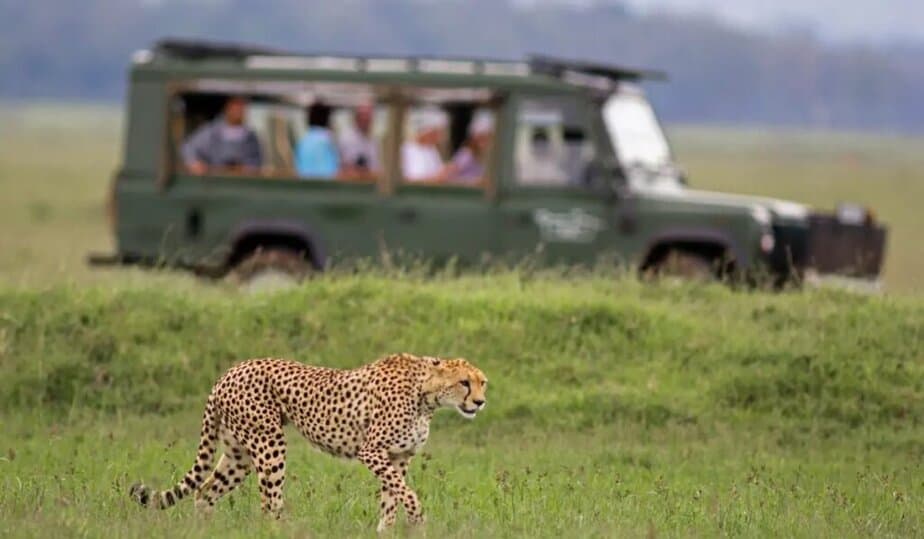 African Top Safari Experiences in Kenya
