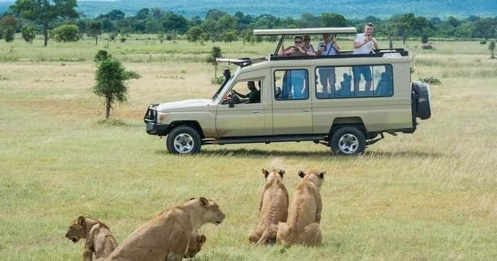 Kenya safari game drive in open 4x4 vehicle during dry season.