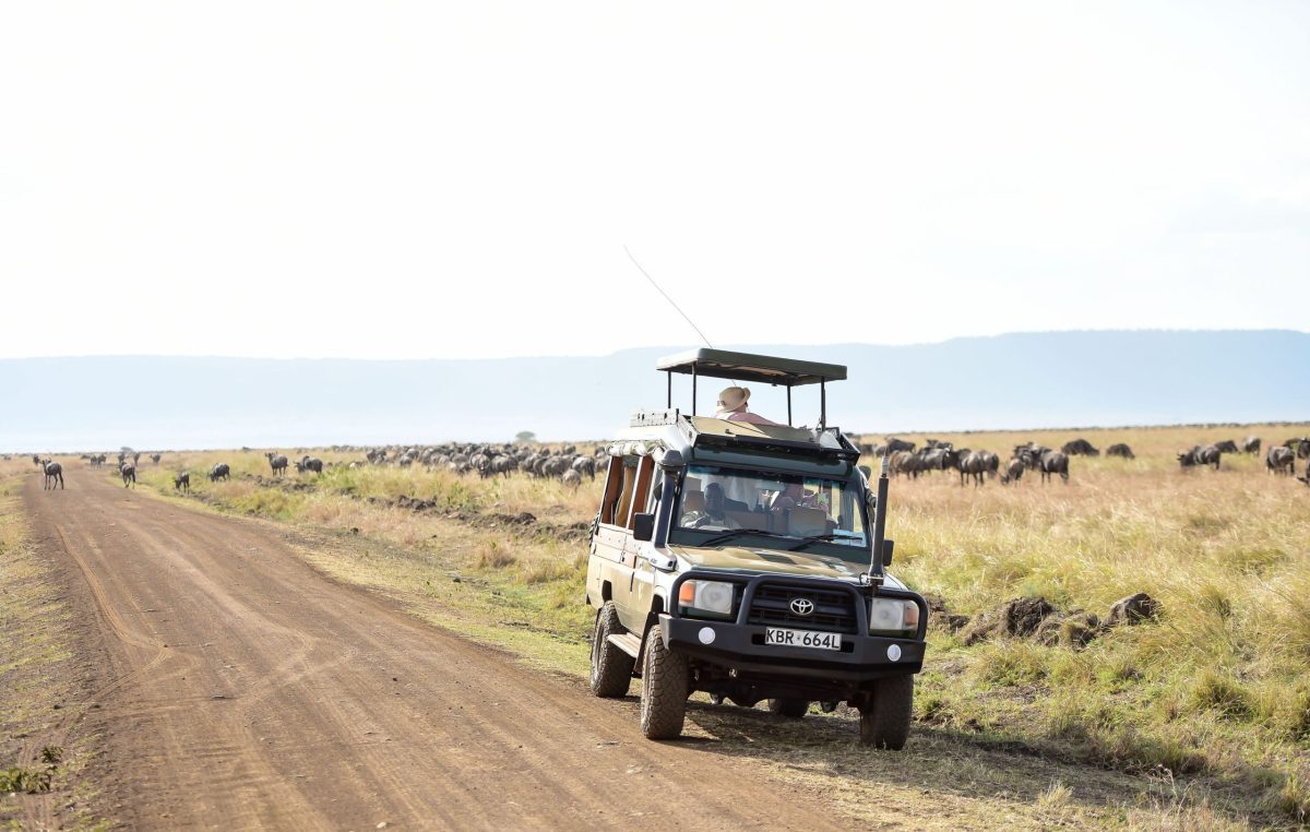 Planning The Best African Safari Tours with African Sermon Safaris Kenya