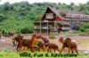 The Best of 6 Days Kenya Safari Tour Value Experience