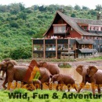 The Best of 6 Days Kenya Safari Tour Value Experience