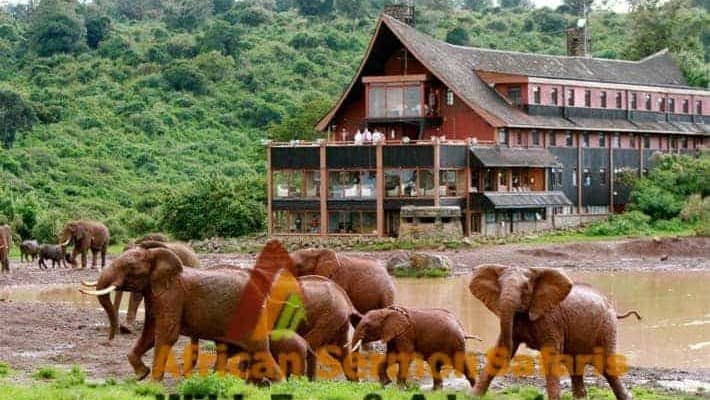 The Best of 6 Day Kenyan Safari Tour Value Experience