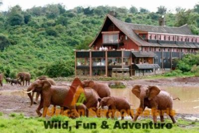 6 days kenya safari aberdare, lake nakuru and masai mara holidays: Kenya safari tours