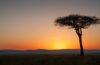Maasai Mara Game Reserve: The Best Safari in Kenya
