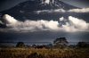 The Best Adventure Kilimanjaro Hiking – Marangu Route