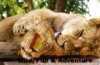 The Best of Six Days Highlights of Northern Tanzania