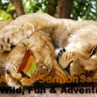 The Best of Six Days Highlights of Northern Tanzania