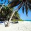 The Best Zanzibar Beach Tours and holidays in Tanzania