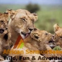 The Best Kenyan safari destinations and parks