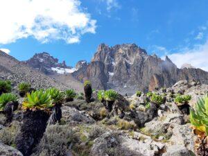 5-Day Mount Kenya Climbing Expeditions via the Chogoria Route: A Comprehensive Guide 5-Day Mount Kenya Climb via Chogoria Route: Ultimate Guide