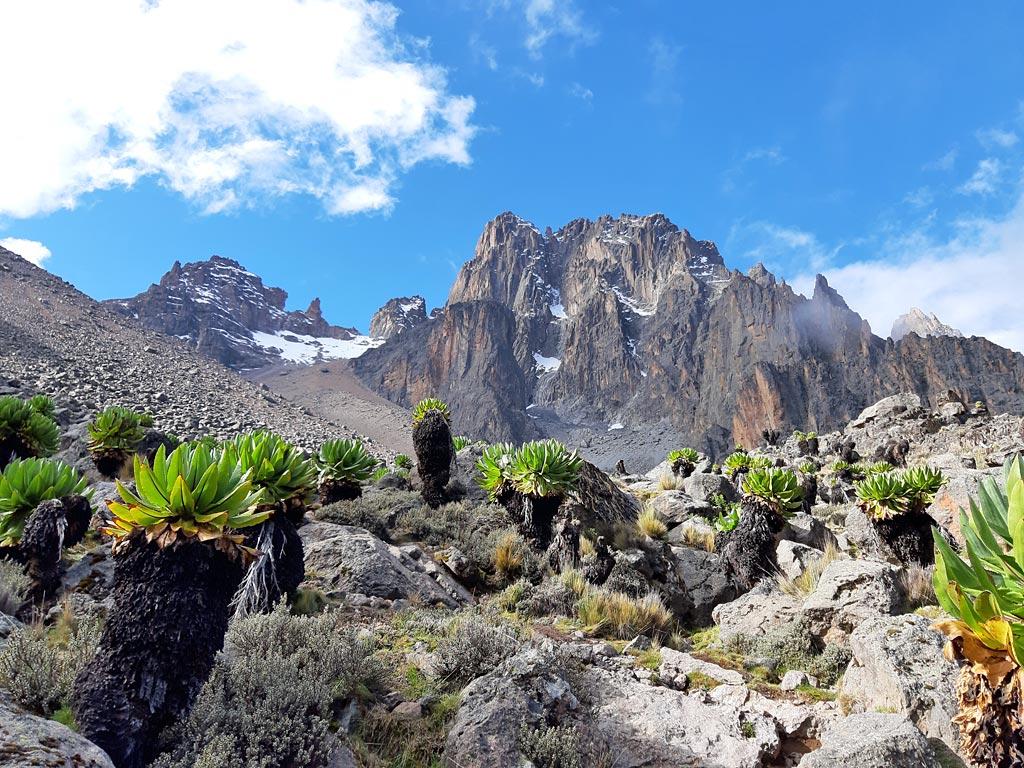 5-Day Mount Kenya Climb via Chogoria Route: Ultimate Guide