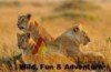 The Best Tanzania Holiday Trips In 2025 Price Guarantee