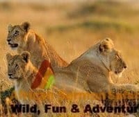 The Best Tanzania Holiday Trips In 2025 Price Guarantee