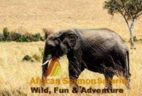 The Exciting 4-Day Masai Mara and Lake Nakuru safari tour