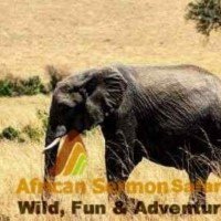The Exciting 4-Day Masai Mara and Lake Nakuru safari tour
