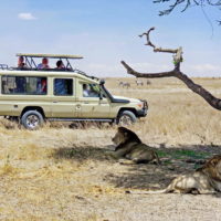 The Best 12-Day Kenya Safari & Stay At Diani Beach