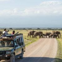 The Best Value 3-Day Amboseli Safari Tour in Kenya