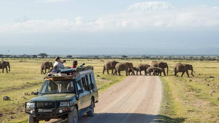 The Best Value 3-Day Amboseli Safari Tour in Kenya