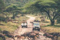 The Best Kenya Tanzania Safari in East Africa