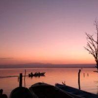 The Best 4-Day Safari in Lake Naivasha & Masai Mara Kenya